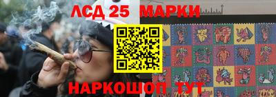 стафф Обь