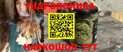 стафф Обь