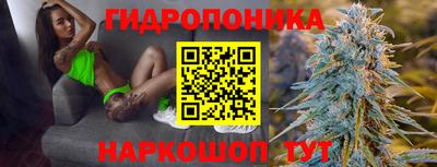 стафф Обь