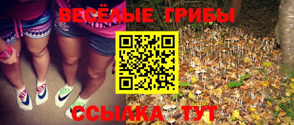 как найти закладки  Вход с VPN  Галлюциногенные грибы Psilocybe  Сухой Лог  Галлюциногенные грибы прущие грибы 