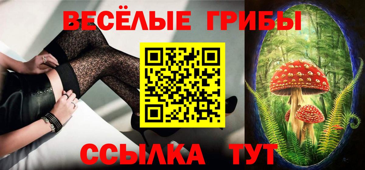 Псилоцибиновые грибы мицелий Сухой Лог